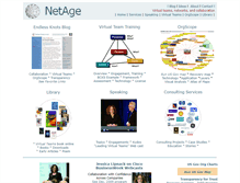 Tablet Screenshot of netage.com
